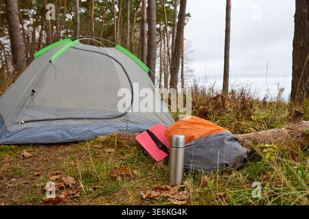 Gray and green camping tent pitched on grassy ground with fallen leaves surrounded by pine trees, orange sleeping bag and silver thermos nearby, cloud Stock Photo