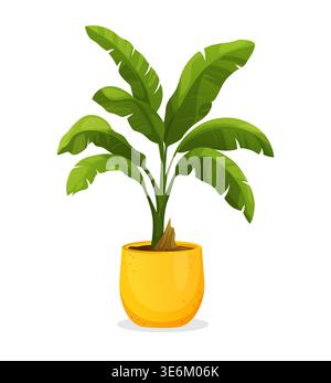 Houseplant. Green plant in a pot. Banana tree for home interior decoration. Interior decoration element. Stock Vector