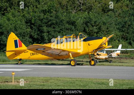 Bright yellow vintage trainer aircraft taxis on a small airport runway with pilot visible in the open cockpit. Classic propeller plane shows British-s Stock Photo