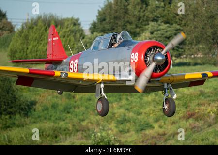 Vintage US Navy trainer aircraft with red nose and yellow wings captured during a low landing approach over a grassy airfield, pilot visible in cockpi Stock Photo