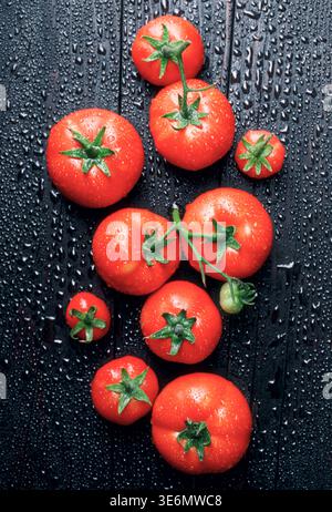 Tomatoes arranged on black textured surface with moisture drops. Fresh ripe vegetables, minimal food styling. Flat lay, top view Stock Photo