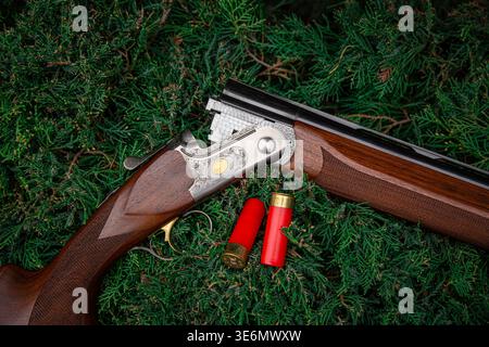 Luxury hunting shotgun and red shells on green coniferous branches. Stock Photo