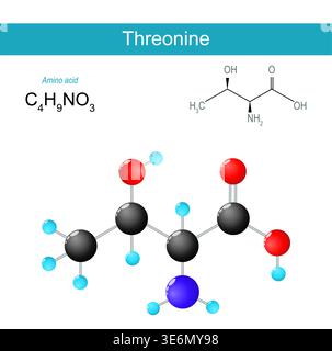 Threonine molecule. Molecular chemical structural formula and model of amino acid for biosynthesis of proteins. Vector illustration. Medical diagram Stock Vector
