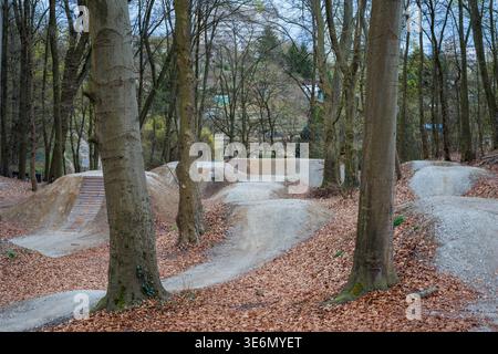 Bike paths between trees with hills and wooden ramps. Fallen leaves on the bike path. City park with bike paths. Stock Photo