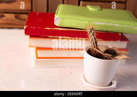A stack of colorful books is visible on a table. At the top of the stack is a green folder. A white pot with a cactus and a dried flower sits in front of the books. Stock Photo