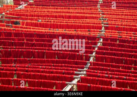 Brightly colored yarns and fabrics spread across open fields, drying under the sun—showcasing the beauty of traditional craftsmanship and vibrant text Stock Photo