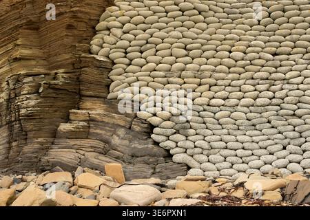 Sedimentary coastal cliffs protected by a stacked sandbag revetment installed to slow erosion from waves undercutting the base. The rounded shapes in Stock Photo