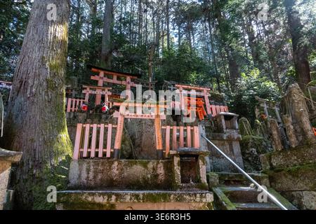 Small Shinto shrine structures and miniature torii gates line a ...