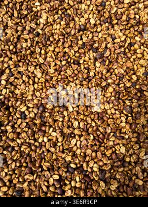 honey coffee beans natural sun dry process. top view full frame Stock Photo