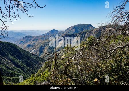Mountain landscape with dry branches in foreground overlooking layered hills and forested valleys under clear blue sky in a natural wilderness area. Stock Photo