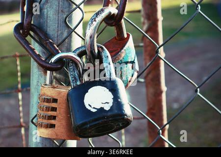 A detailed, high-quality photograph showing a group of various padlocks, including a brass combination lock and rusted iron locks Stock Photo