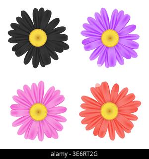 Realistic chamomile daisy flower icon collection Stock Vector