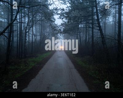 Drone POV flying towards car with headlights in dark misty pine forest Stock Photo