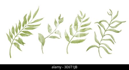 A sprig of eucalyptus, willow, or olive with green leaves. Watercolor illustration. Spring branches, a set isolated on a white background. Fresh folia Stock Photo
