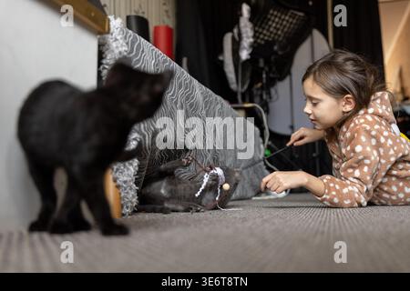 Girl and kittens playing near sofa Stock Photo