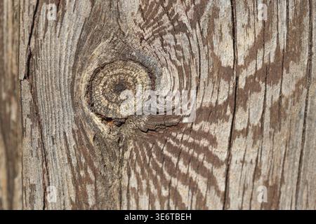 sun damaged wood surface with texture Stock Photo
