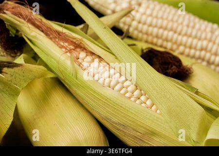 Korean waxy corn, chal-oksusu, has a unique chewy, glutinous texture. An iconic summer snack, it's loved for its mild flavor. Stock Photo