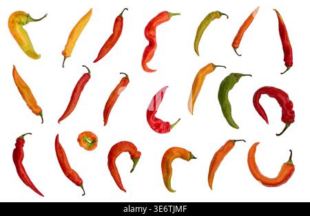 Collection of multi colored chili peppers isolated on white background. Set of red, orange and green hot peppers. Different shapes of spicy organic ve Stock Photo