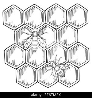 Hand-drawn graphic composition of honeycombs and bees on white background for product design, packaging, healthcare products Stock Vector