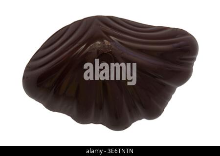 Guylian Belgian dark praline seashells chocolates isolated on white background - finest Belgian chocolates with hazelnut praline filling Stock Photo