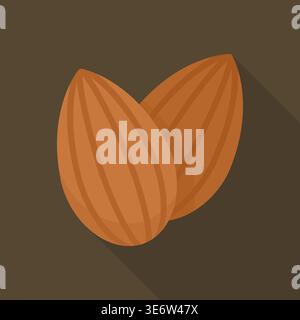 Two brown almond nuts on dark background vector illustration Stock Vector