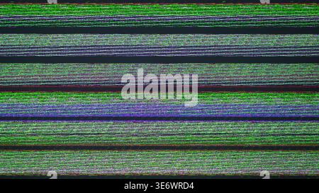 Cyber glitch background digital noise data corruption hacking concept texture Stock Photo