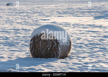 A snow-covered hay bale sits alone in a frosty field under soft morning sunlight, casting gentle shadows on the snowy landscape. Stock Photo