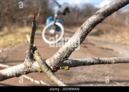 A bicycle is parked beside a large fallen tree across a dirt path in a forest. The scene shows a typical day with sunlight filtering through trees Stock Photo