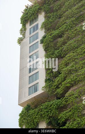 Eco-house with living wall made of plants growing on balconies and terraces decorating house facade. Stock Photo