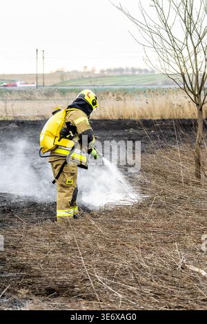 Firefighter using a hose to extinguish smoldering grass after a wildfire, smoke rising from burned ground in rural landscape Stock Photo