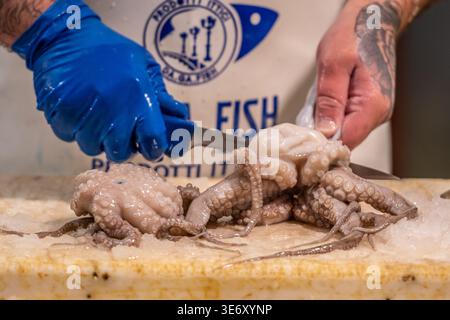 Hands of a fishmonger cleaning and cutting fresh octopus with a knife in a seafood market or fishmonger Stock Photo