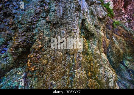 Textured Mineral Deposits and Moss on Geothermal Rock Wall Near Hot Spring Stock Photo