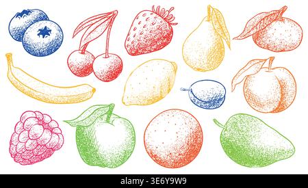 Fresh fruits drawing in dot work style. Colourful illustration for modern usage. Mango and strawberry berries and plum, bananas and other. Stock Vector