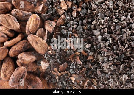 Cocoa beans in various stages of being crushed and processed Stock Photo
