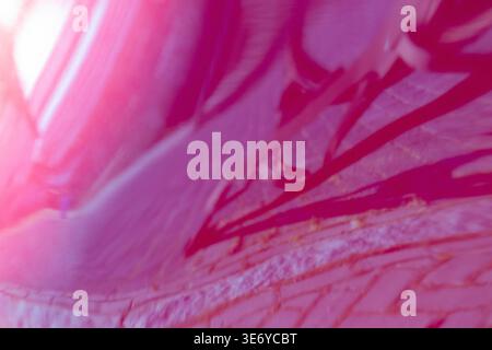 View of blurred lines and soft hues create an ethereal, dreamlike abstract of the ground, Dronten, Flevoland, Netherlands. Stock Photo