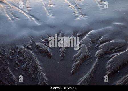 Dendritic drainage patterns in wet sand formed by flowing water creating branching natural textures Stock Photo