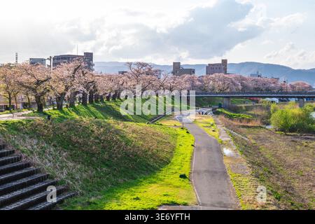 Riverbank of Asuwa River at Fukui City in Hokuriko, Japan Stock Photo