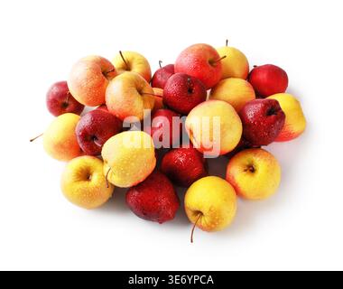 Pile of fresh, wet Elstar and Red Delicious apples isolated on a white background. Top view of ripe, sweet yellow and dark red fruits covered in water Stock Photo
