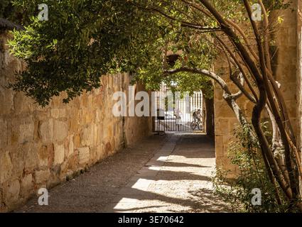 Narrow gateway from the courtyard of the museum at the University of Salamanca in Spain Stock Photo