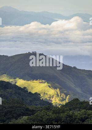 View west from Monteverde resort at sunrise over the hills towards Pacific ocean in vertical format Stock Photo