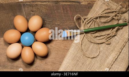 Easter background with organic eggs arranged in a flower shape on rustic wooden table with paintbrush and paint Stock Photo