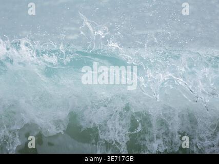 Turquoise blue wave building to peak breaking as surf on the shore Stock Photo