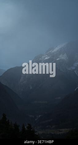 very mysterious and desolate atmosphere on a gloomy day in the mountains, dark woods with thick fog. High quality Vertical photo 20 Stock Photo