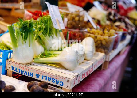 Venice, Italy - December 05, 2025: Organic fennel bulbs are beautifully arranged at a bustling farmers market with colorful fruits and vegetables surr Stock Photo