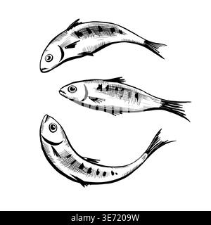 Sardine fish set in minimalist black and white vector line art. Three dynamic swimming fishes for eco-friendly apparel print, marine branding, organic Stock Vector