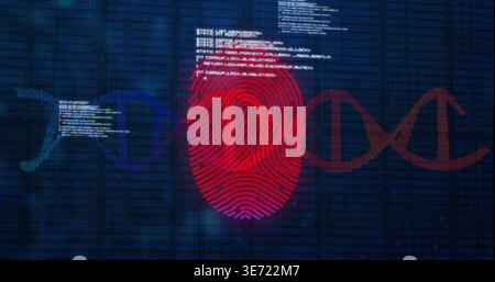 Displaying red fingerprint in cyber display, showing DNA helix, numeric matrix and code blocks. Biometric, genome, visualization, cybersecurity, holog Stock Photo
