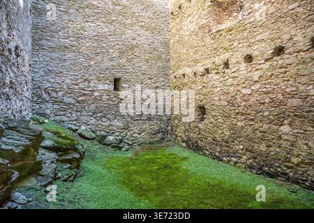 Visitors explore the interior of Rabi Castle, which is the largest castle ruin in Bohemia. The walls are made of stone and covered with moss. Some small openings are visible in the walls. Stock Photo