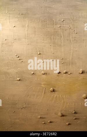 Abstract painting surface featuring textured beige plaster with small relief bumps and vertical indentations providing a minimalist artistic backgroun Stock Photo