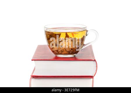 Middle of photo Stack of books with a glass cup of herbal tea on top of it isolated white background space for text copy space macro Stock Photo