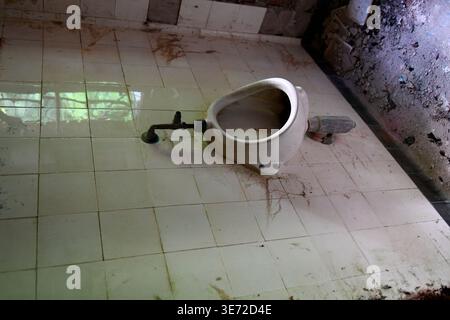 Toilet in the former Grabowsee sanatorium Stock Photo
